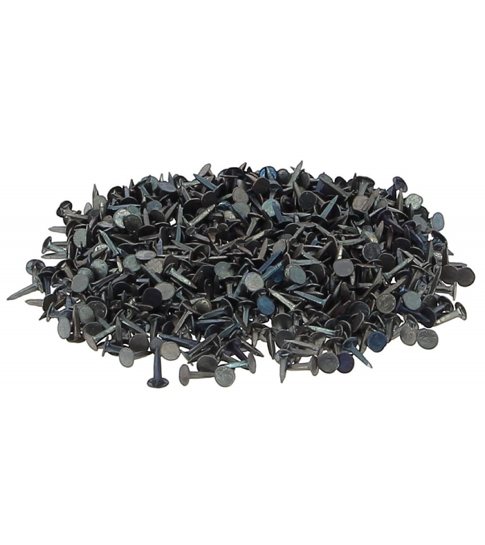 Clou Semence pour Tapisserie clou à tête plate