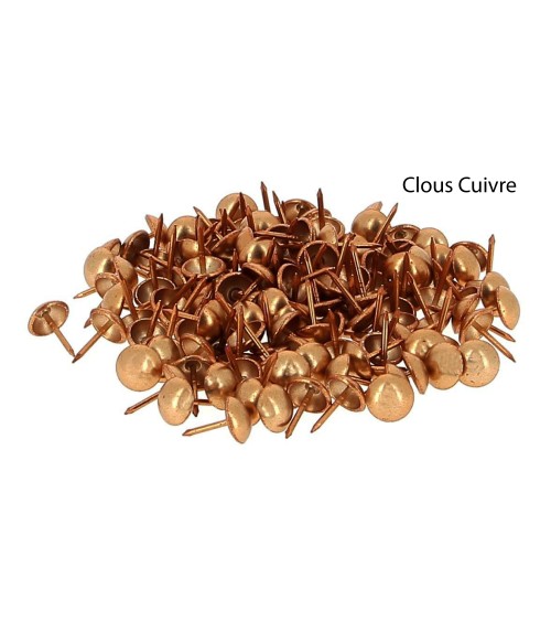 Clous Ronds d'Ameublement Décoratifs - Lot de 1000 - Ø11 mm