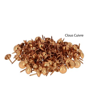 Clous Ronds d'Ameublement Décoratifs - Lot de 1000 - Ø11 mm